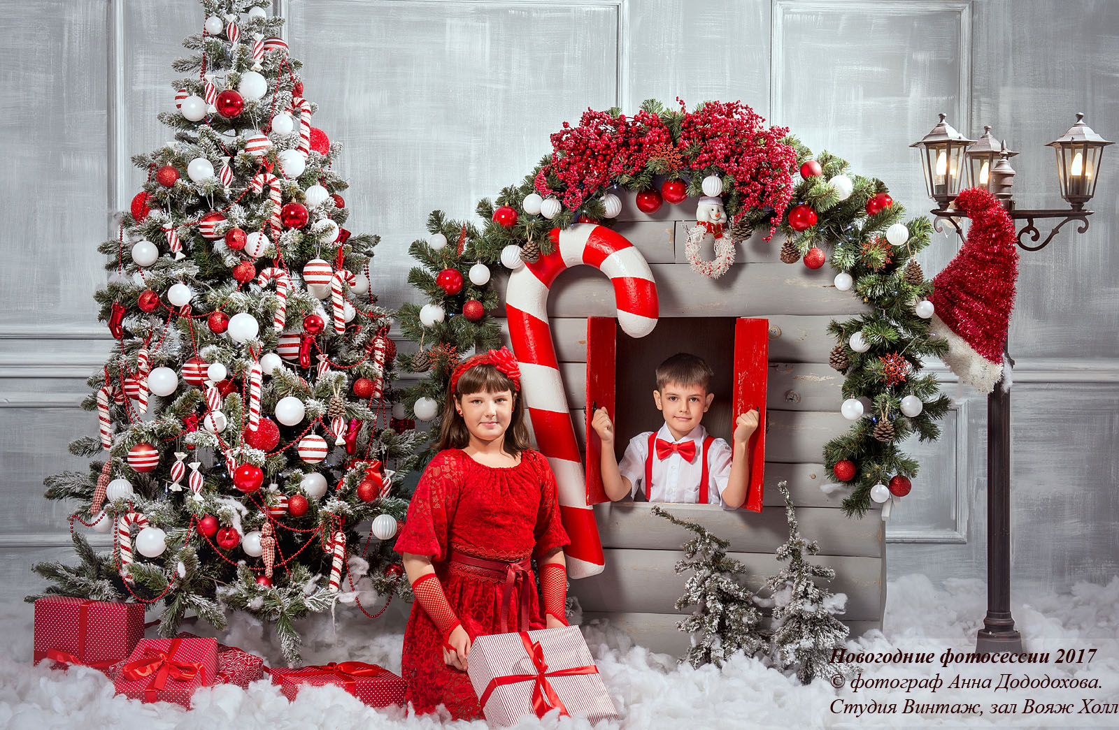 Фотограф Анна Додохова. Новогодние фотосессии