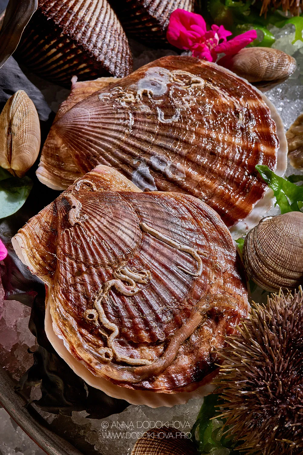 Фотосъёмка блюд высокой кухни ресторана Brunello. Фуд-фотограф, фуд-стилист Анна Додохова